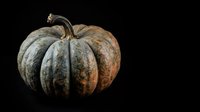 Aged pumpkin with weathered, textured surface isolated on black background, suitable for autumn, harvest, and fall seasonal design projects.