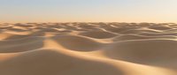 Golden sand dunes stretch endlessly across desert landscape during warm sunset light creating natural patterns and textures for travel and nature concepts.
