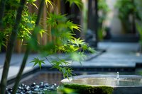 Tranquil Japanese garden with bamboo leaves framing stone water basin, moss-covered fountain creating peaceful zen atmosphere for meditation and relaxation.