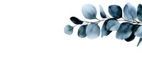 Watercolor eucalyptus branch with blue-gray leaves on white background, botanical art element isolated for design projects and decorative use.