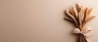 Golden wheat ears bouquet tied with beige silk ribbon on neutral brown background with copy space, minimalist autumn harvest composition.