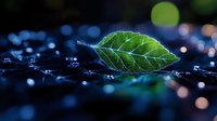 Green leaf resting on digital circuit board with glowing blue and pink bokeh lights, representing technology and nature integration for environmental innovation concepts.