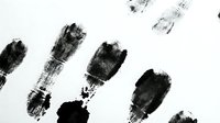 Charcoal paint brushes with black bristles arranged on white background, isolated for design projects, artwork creation, and creative applications.