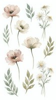 Watercolor wildflower collection with poppies, daisies and botanical leaves isolated on white background for wedding invitations and craft projects.