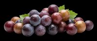 Red and purple grapes with green leaves isolated on transparent background, ready for t-shirt design, clipart, stickers, print-on-demand products, and sublimation projects.