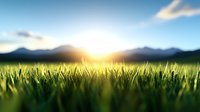 Vibrant green wheat field at sunrise with mountain silhouettes and dramatic sunburst through morning mist creating atmospheric rural landscape.