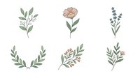 Botanical plant illustrations with leaves and flowers in muted tones, isolated on white background. Suitable for design, print, and digital projects.