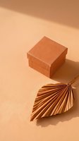 Minimalist terracotta gift box with pleated paper fan decoration on warm beige background with soft shadows for product photography and branding.