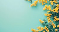 Yellow spring flowers on mint green background with copy space. Floral border arrangement in corner creates modern minimalist composition for spring designs.