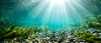 Underwater sunbeams penetrate crystal clear water illuminating rocky riverbed with flowing aquatic plants creating serene natural aquatic environment.