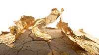 Dried cracked earth with golden leaf fragments scattered across surface, representing drought, environmental decay, climate change, and natural disaster themes for editorial and awareness campaigns.