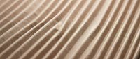 Close-up of corrugated cardboard texture with diagonal ridges and natural brown tones, shallow depth of field highlighting the surface detail.