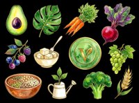 Watercolor vegan food clipart set with avocado, carrots, broccoli, berries, grapes, beet, tofu, grains, and plants, isolated on transparent background for stickers, sublimation, t-shirt design.