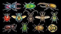 Colorful beetle and insect clipart set isolated on transparent background, ready for t-shirt design, stickers, print on demand, and sublimation projects.