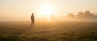 Silhouette of person standing in misty field at golden sunrise with warm sunlight and peaceful morning atmosphere for meditation and wellness concepts.