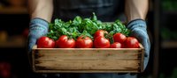 Fresh ripe tomatoes on vine and lettuce leaves in rustic wooden box held by hands in gray knitted gloves, panoramic farm harvest composition.