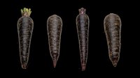 Four black carrots isolated on transparent background, ready for stickers, print on demand, T-shirt design, clipart, and sublimation projects.