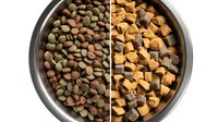 Comparison of dry pet food types in metal bowl, showing kibble varieties with different shapes, colors and textures for dogs or cats.