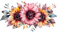 Watercolor sunflower arrangement with pink and orange blooms, dusty blue leaves and red berries on white background, ready for design projects and prints.