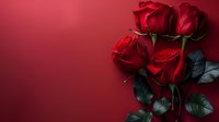 Fresh red roses with dark green leaves against deep burgundy background, romantic floral composition with dramatic lighting and copy space for Valentine designs.