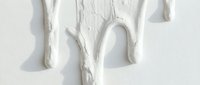 Bare white tree branches mounted on neutral wall surface, creating organic sculptural wall decor for modern interior design and home styling projects.