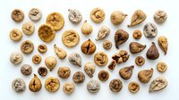 Assorted mixed nuts collection including walnuts, almonds, pecans, hazelnuts and Brazil nuts arranged on white background for healthy snacking and cooking.