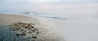 Serene sandy beach with gentle waves rolling onto shore, soft morning light creating peaceful coastal atmosphere for travel and relaxation themes.