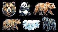 Grizzly bear head isolated on transparent background, ready for t-shirt design, clipart, stickers, sublimation and print-on-demand products.