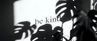 Be kind motivational quote on white wall with monstera plant shadows in black and white, minimalist style for home decor and social media.