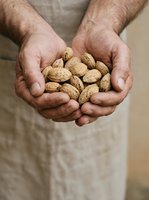 Farmer holding handful of raw almonds in cupped hands, displaying fresh harvest crop for agricultural, food production, and healthy nutrition content.