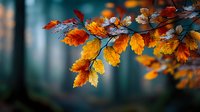 Vibrant autumn leaves in golden orange and red hues on tree branch with soft blurred forest background. Perfect for seasonal designs and nature themes.