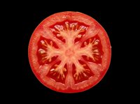 Fresh red tomato slice isolated on transparent background, ready for food design, stickers, print on demand, T-shirts, clipart, and sublimation projects.