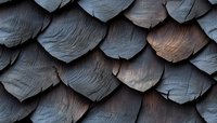 Dark wooden shingles create overlapping pattern with rich texture and shadows, showing weathered surface detail in brown and gray tones. Architectural detail.