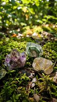 Natural healing crystals and gemstones arranged on forest moss with sunlight filtering through trees creating peaceful meditation atmosphere.