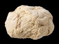 Whole wheat bread dough isolated on transparent background, ready for baking, cooking, and culinary design projects, clipart, and print-on-demand applications.