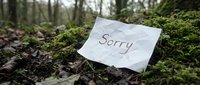 Crumpled paper note with the word Sorry lying on mossy forest ground, symbolizing apology, regret, and forgiveness in nature.