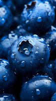 Fresh blueberries with water drops in macro photography showing detailed texture and natural moisture on dark blue berries surface. Great for food industry.