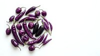 Fresh purple eggplants with stems arranged on white background, isolated produce for culinary, cooking, and food design projects.
