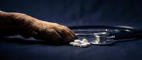 Elderly person's hand reaching toward scattered white pills and stethoscope on dark surface, depicting healthcare, medication, and medical treatment themes.