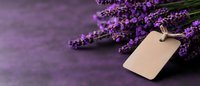 Fresh lavender flowers with blank beige gift tag on dark purple background, aromatic herbs and empty label for spa or wellness branding concept.