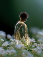Ethereal silhouette of young man standing in wildflower meadow with glowing light trails creating magical atmosphere against dark green background.