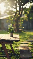 Small potted plant on wooden picnic table in sunlit garden with dreamy bokeh background, creating peaceful outdoor atmosphere. Perfect for wellness and lifestyle designs.