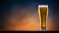 Fresh golden beer in tall glass with foam head on wooden surface against warm gradient background for beverage advertising and restaurant menus.