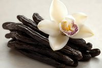 Aromatic vanilla pods with delicate orchid flower on neutral background. Natural spice ingredient for baking, cooking and flavoring desserts.