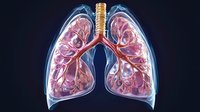 Anatomical visualization of human lungs with detailed bronchial tree and vascular system glowing on dark background, showing respiratory system structure.