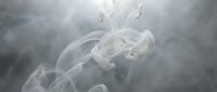 Soft white smoke swirls gracefully against a misty gray background, creating an ethereal, dreamy atmosphere with flowing abstract shapes.