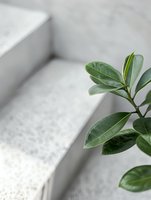 Fresh green plant leaves against minimalist concrete steps background, creating modern architectural contrast with soft natural elements.