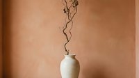 Minimalist ceramic vase with dried twisted branch arrangement against warm terracotta wall, suitable for home decor and interior design projects.