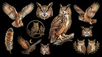 Owl collection featuring various species in flight and perched poses, isolated on transparent background. Ready for t-shirt designs, clipart, stickers, sublimation, and print-on-demand products.