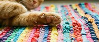 Ginger tabby cat paw resting on colorful striped crochet blanket with rainbow yarn pattern, cozy home interior design and pet lifestyle.